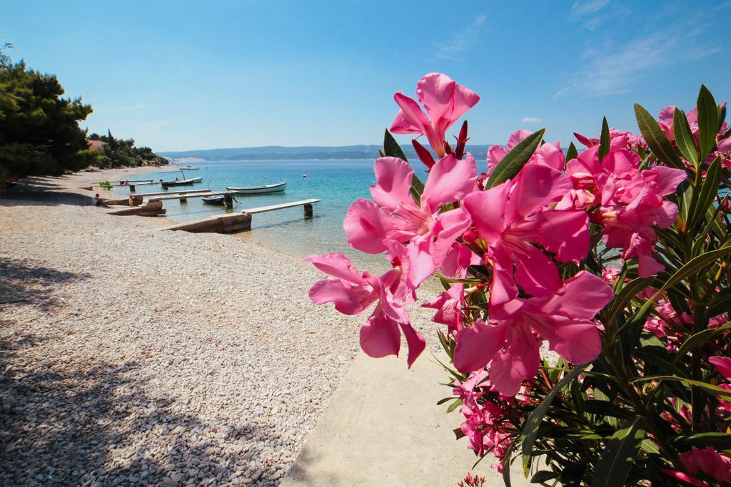 Apartments Dada Omis Exterior photo